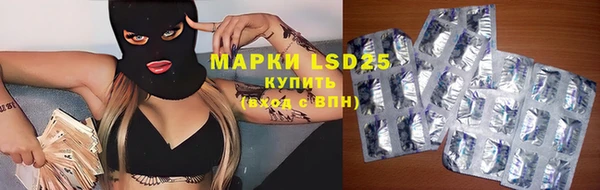 молекула духа Козельск