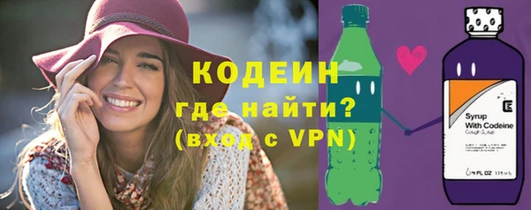 шишки Козловка