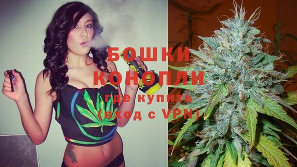 шишки Козловка