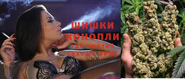 молекула духа Козельск