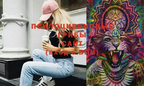 шишки Козловка