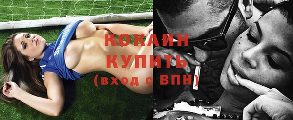 молекула духа Козельск
