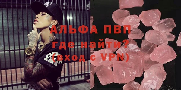 молекула духа Козельск