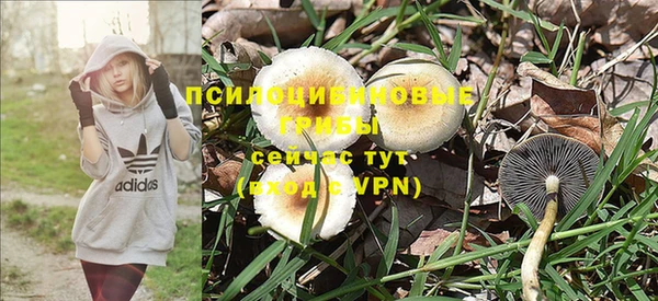 молекула духа Козельск
