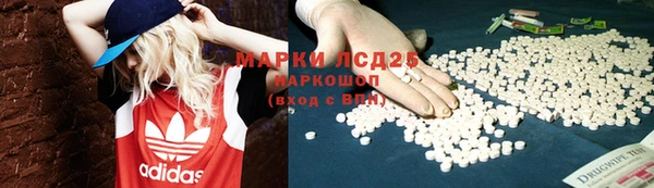 молекула духа Козельск