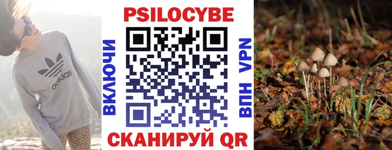 Псилоцибиновые грибы Psilocybine cubensis Макаров